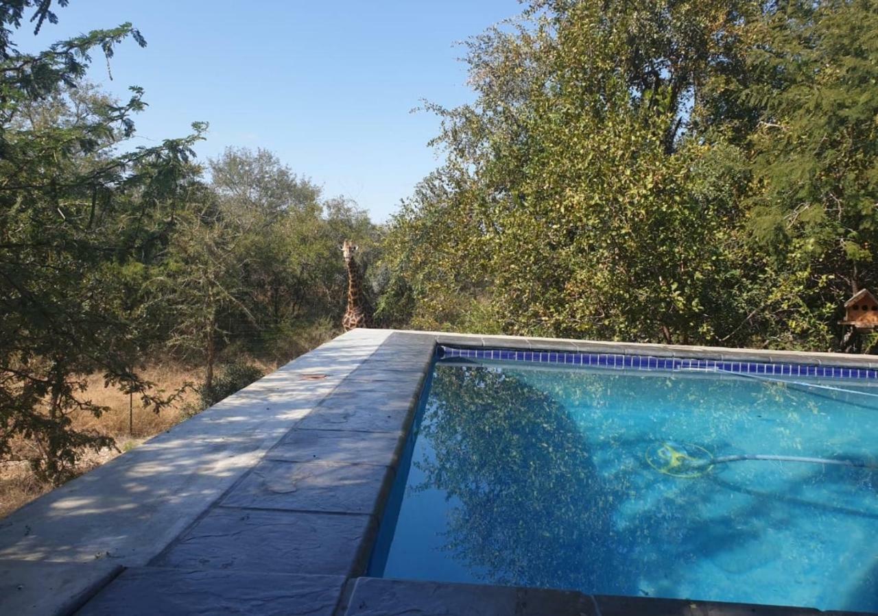 Lionsview Private Lodge - 6 Lions Marloth Park Exterior foto