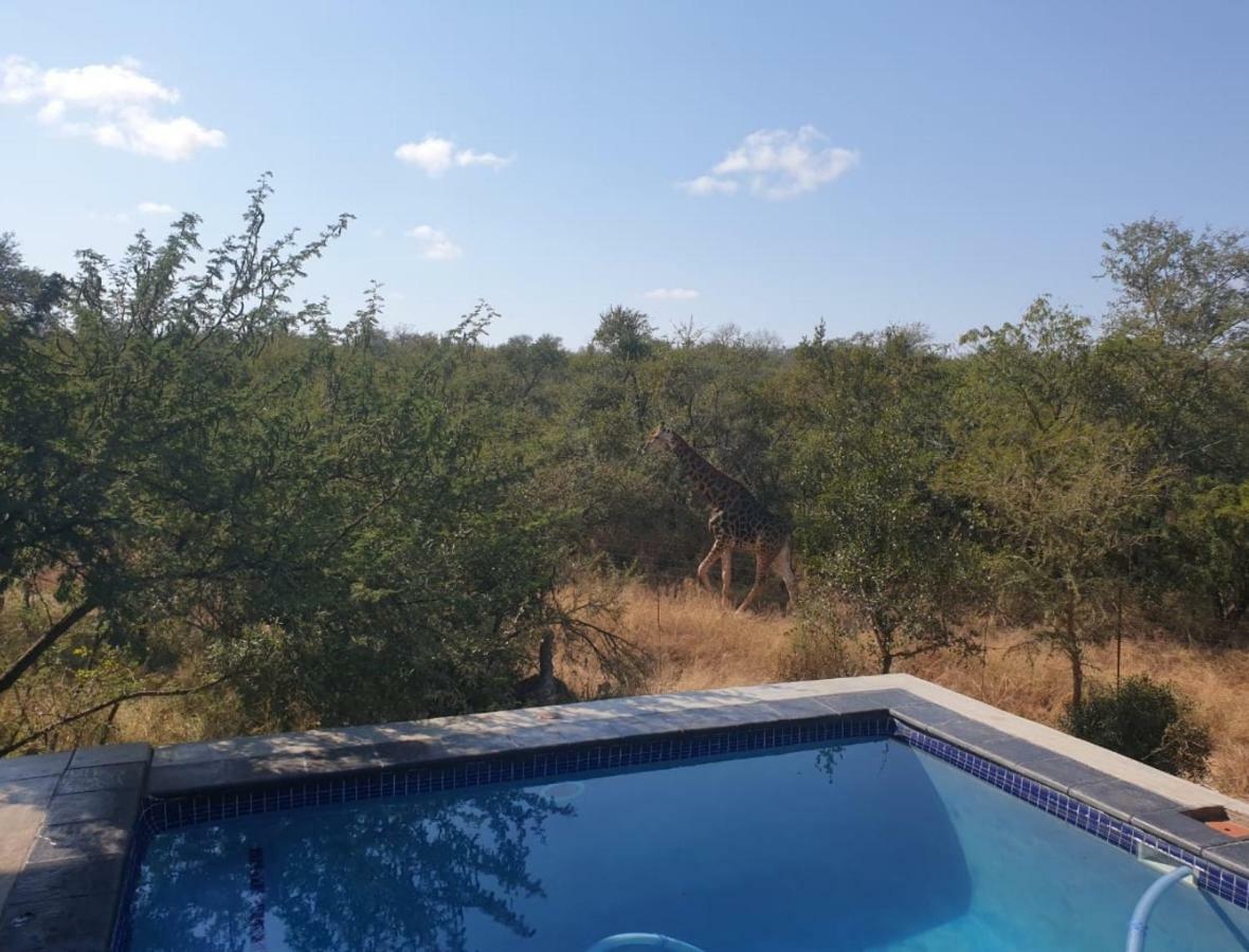 Lionsview Private Lodge - 6 Lions Marloth Park Exterior foto